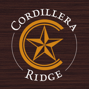 Horizontaly textured dark wood