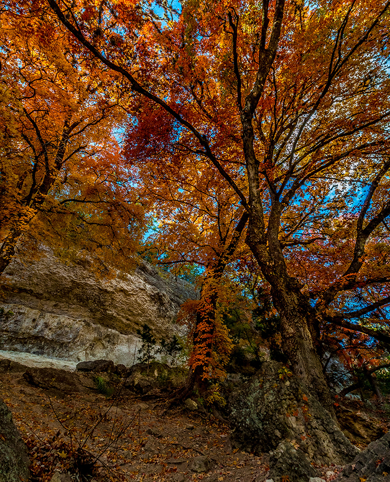 Lost_Maples_State_Park_780x1064