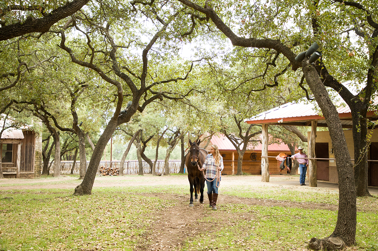 Walking_Horse_1280x850