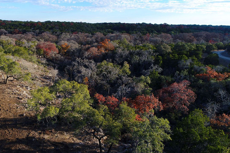 Panther_Creek_LotB_800x533